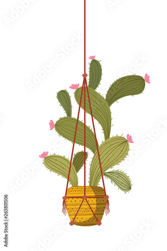 cactus on macrame hangers isolated icon