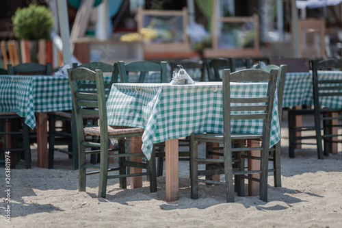 A few tables with checkered clothes, chairs, standing at the beach cafe, right on the sand