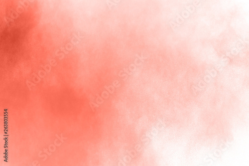 living coral color powder explosion on white background. Colored cloud. Colorful dust explode. Paint Holi.