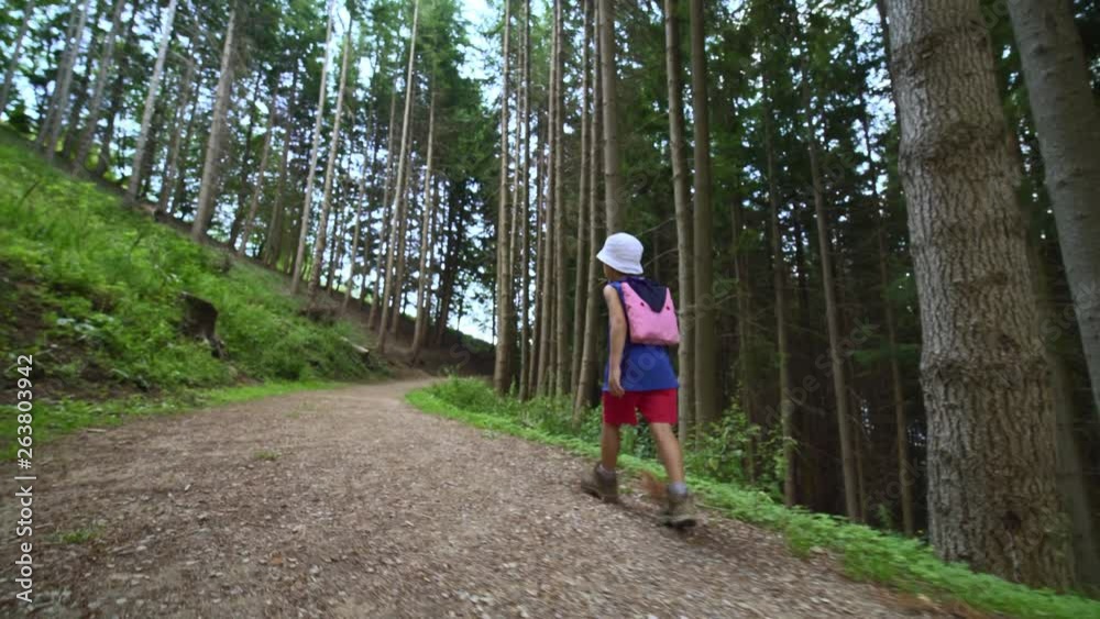 Child walking in a forest path Child walking in a forest path