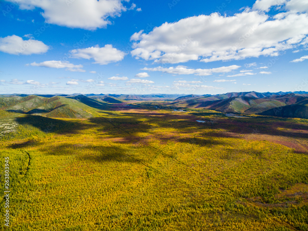 Aerial view of  forest in the far East, Russia
