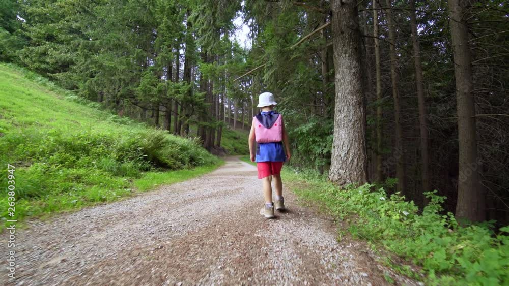 Child walking toward a forest Child walking toward a forest