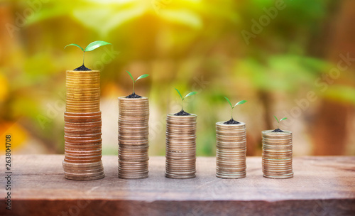 Growing Money and Plant On Coins Stack Finance and Investment Concept Wood Background