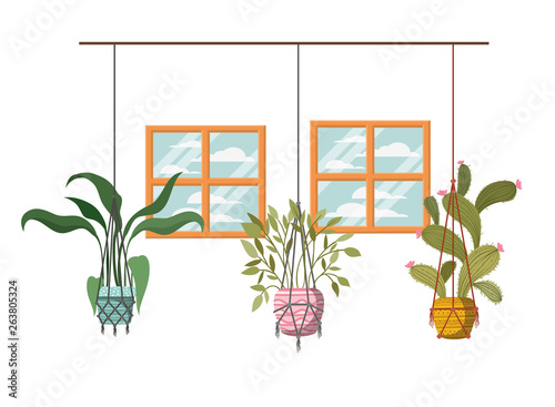 houseplants on macrame hangers icon