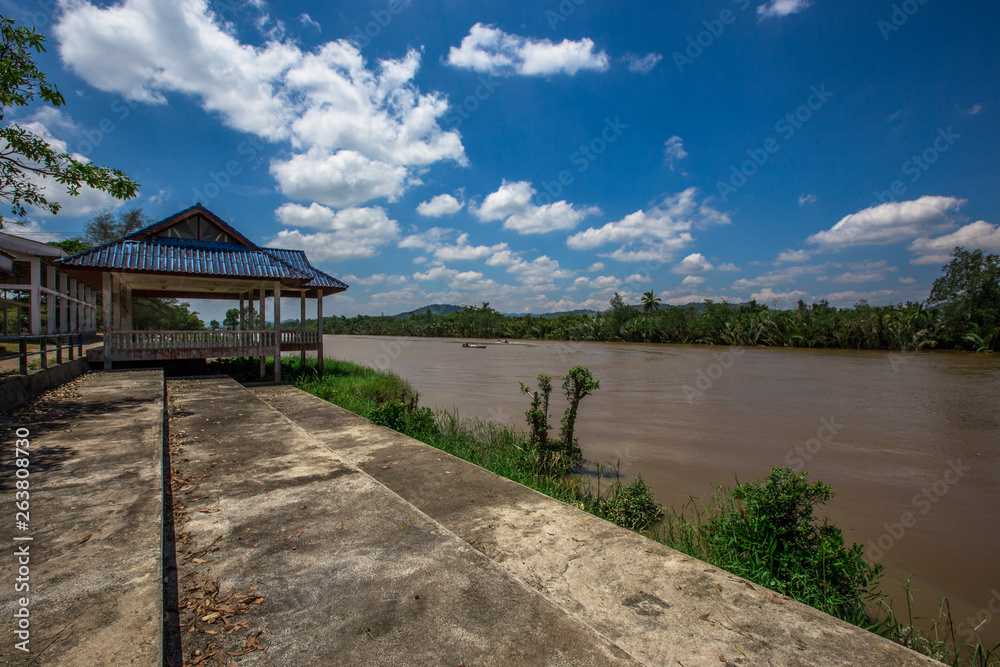 The background of the bright blue sky along the river, around the area with shore trees, mangrove forests surrounding, is the beauty of the ecological system in which people and animals live together. The background of the bright blue sky along the river, around the area with shore trees, mangrove forests surrounding, is the beauty of the ecological system in which people and animals live together.