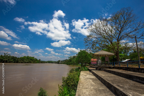 The background of the bright blue sky along the river, around the area with shore trees, mangrove forests surrounding, is the beauty of the ecological system in which people and animals live together.