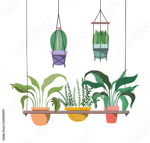 houseplants on macrame hangers icon