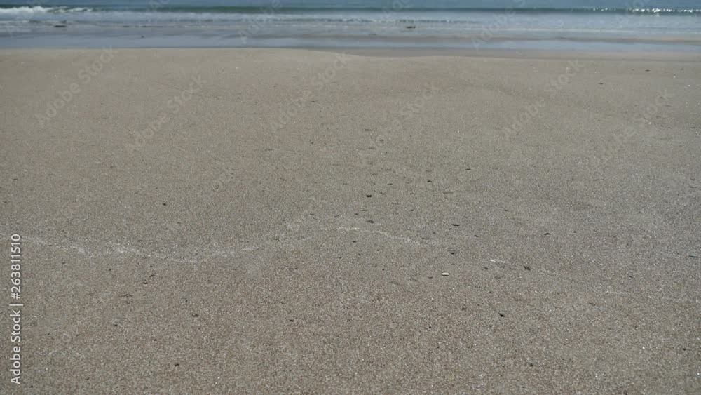 footprints on the beach footprints on the beach