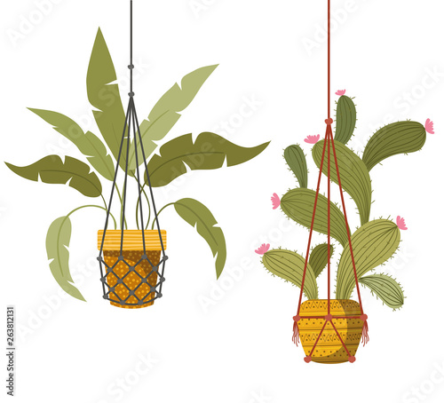 houseplants on macrame hangers icon