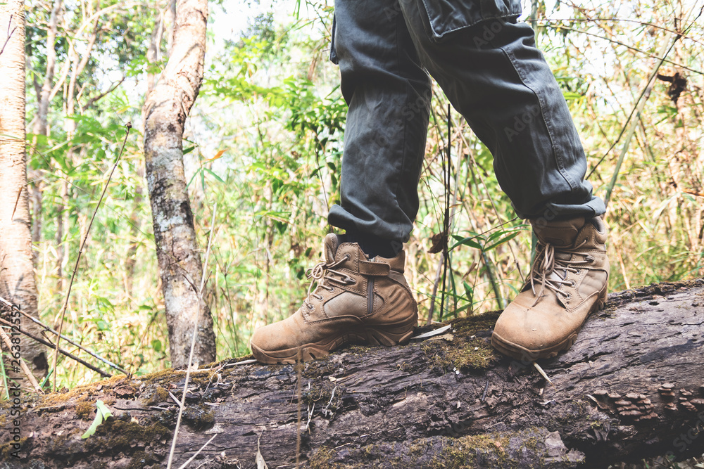 close-up hiking boots. male tourist steps on a login forest close-up hiking boots. male tourist steps on a login forest