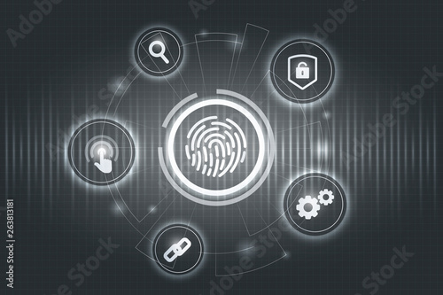 Biometric security concept