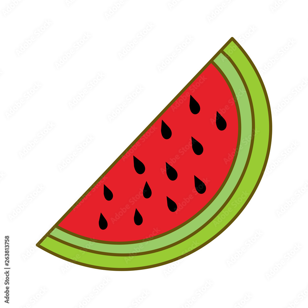 Watermelon Fruit Template Vector Flat