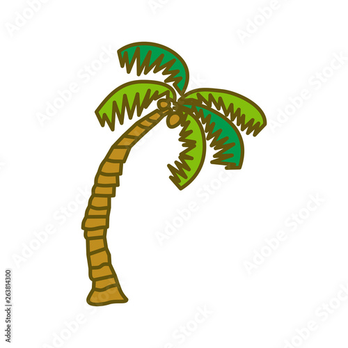 Coconut Tree Design Illustration Template Vector