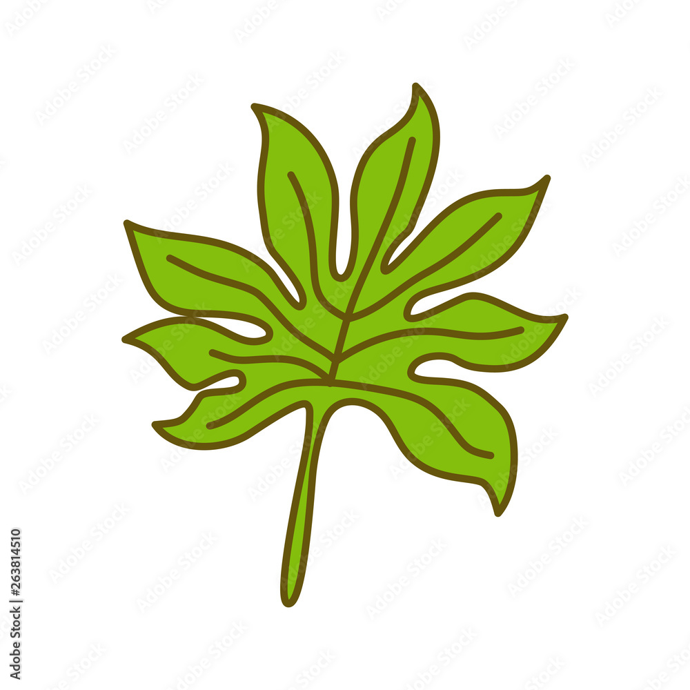 Leaf Tropical Design Illustration Template Vector Leaf Tropical Design Illustration Template Vector