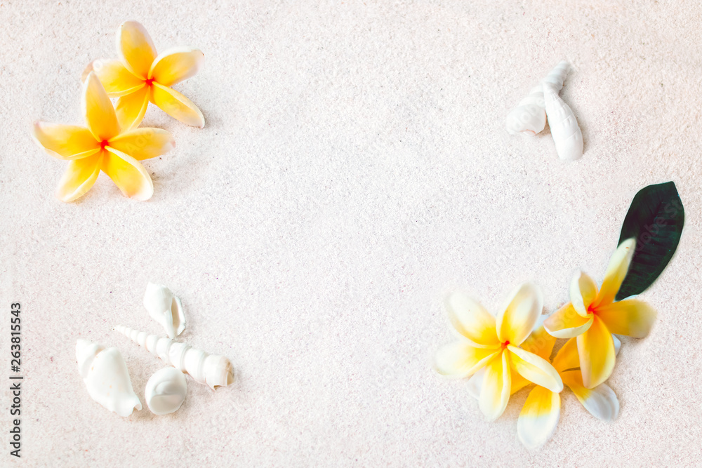 tropical beach background with frangipani plumeria flowers and shells flame tropical beach background with frangipani plumeria flowers and shells flame
