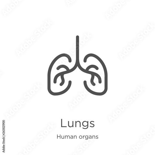 lungs icon vector from human organs collection. Thin line lungs outline icon vector illustration. Outline, thin line lungs icon for website design and mobile, app development.