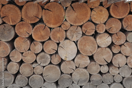 한국의 나무 담장