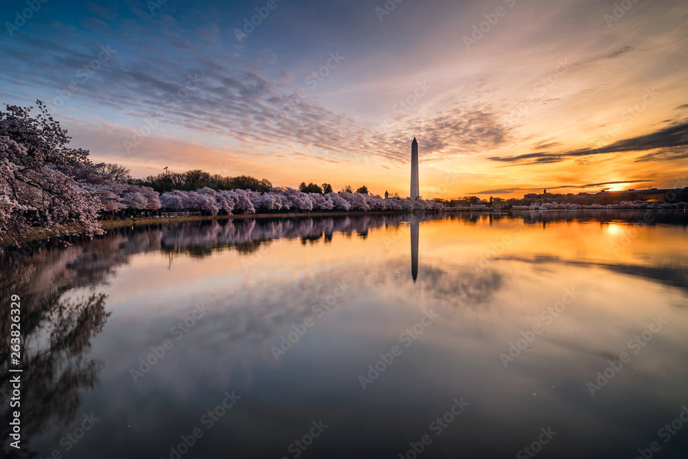 Sunrise over the Tidal Basin Cherry Blossoms