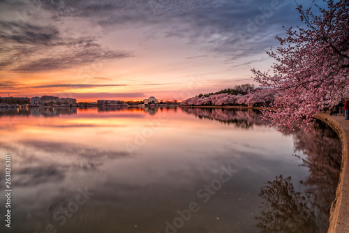 Sunrise over the Tidal Basin Cherry Blossoms