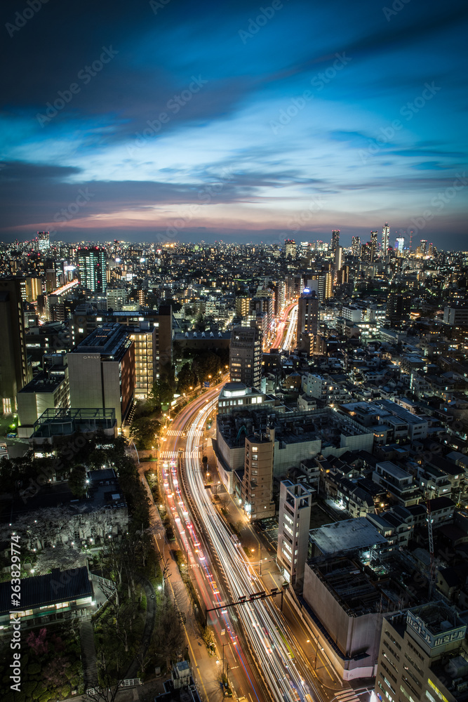 Naklejka premium 東京
