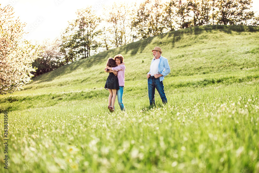 Senior couple with granddaughter outside in spring nature. Senior couple with granddaughter outside in spring nature.