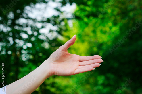 Gesture of welcome. Beautiful hands on green background. © agneskantaruk