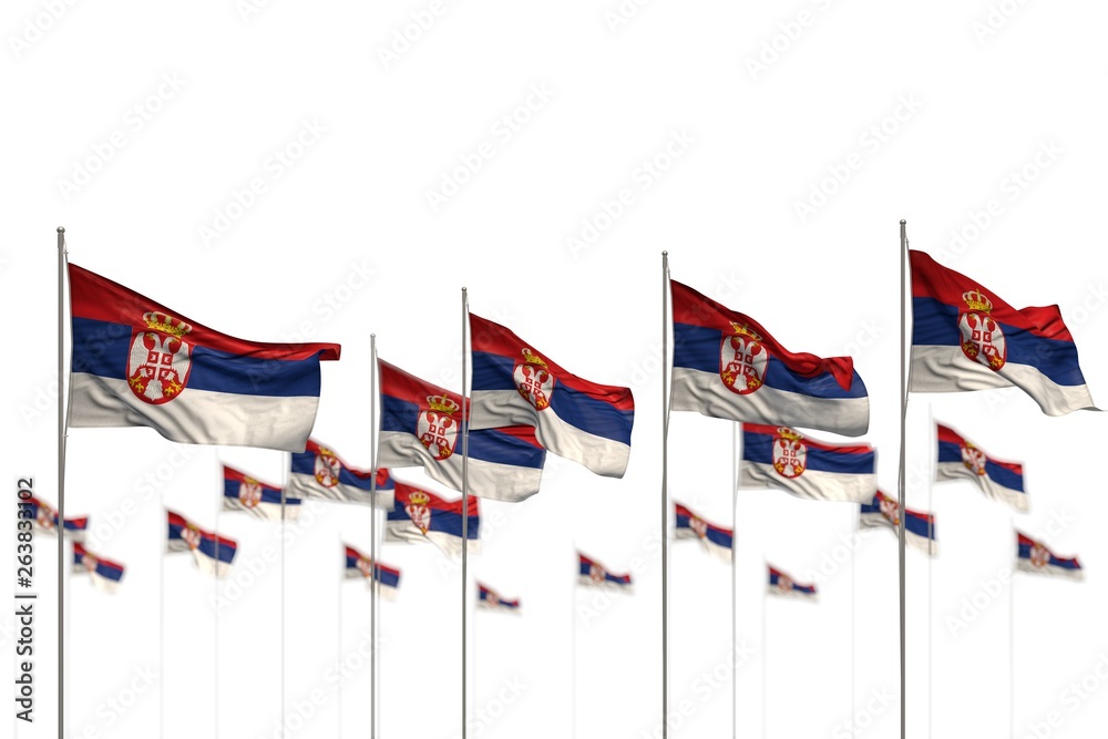 pretty Serbia isolated flags placed in row with soft focus and place for text - any occasion flag 3d illustration.. pretty Serbia isolated flags placed in row with soft focus and place for text - any occasion flag 3d illustration..