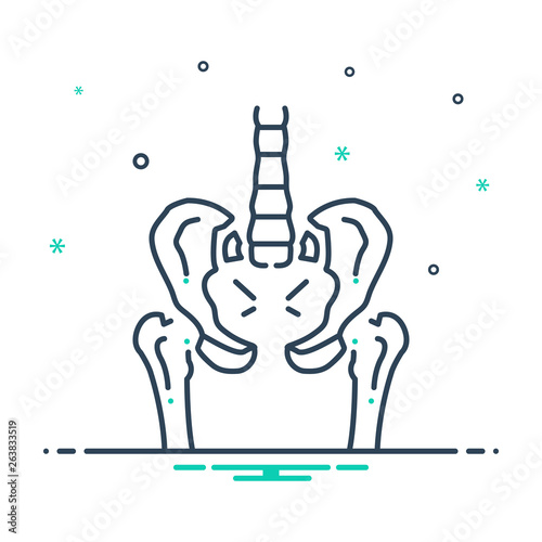 Mix line icon for pelvic 