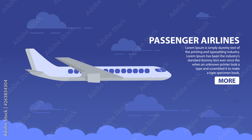 Passenger airlines.Sky airplane.Jet plane.Aviation airliner.Poster flat vector.