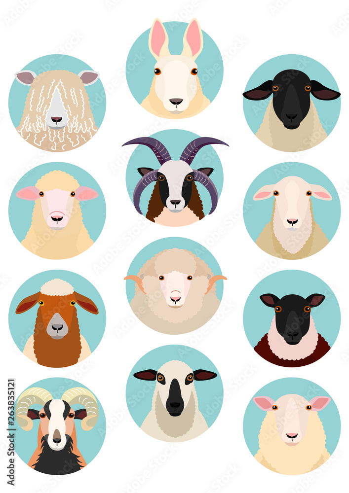 sheep heads set sheep heads set