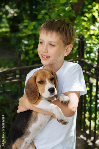 Content boy holding beagle dog photo