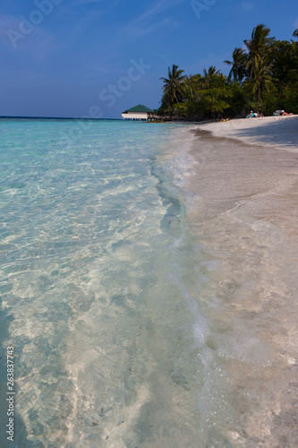 Fototapeta Naklejka Na Ścianę i Meble -  Sandy beach with palm trees of a Maldives island