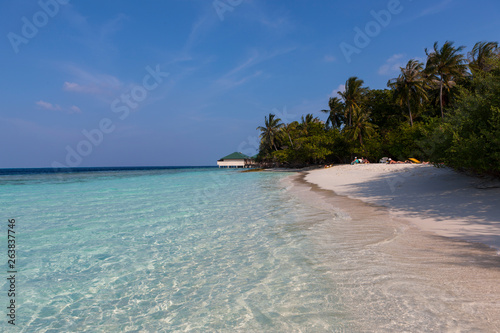 Fototapeta Naklejka Na Ścianę i Meble -  Sandy beach with palm trees of a Maldives island