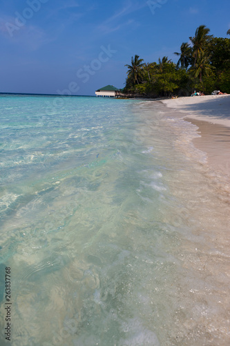 Fototapeta Naklejka Na Ścianę i Meble -  Sandy beach with palm trees of a Maldives island