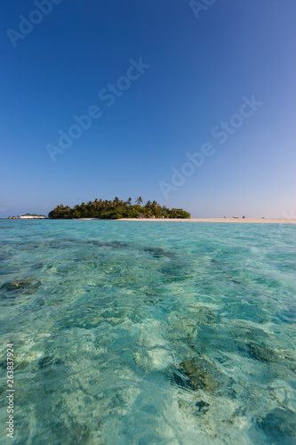 Sandy beach with palm trees of a Maldives island