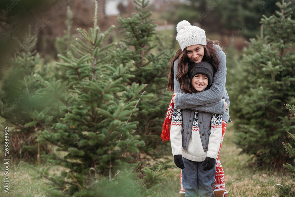 Tree farm Stock Photo | Adobe Stock
