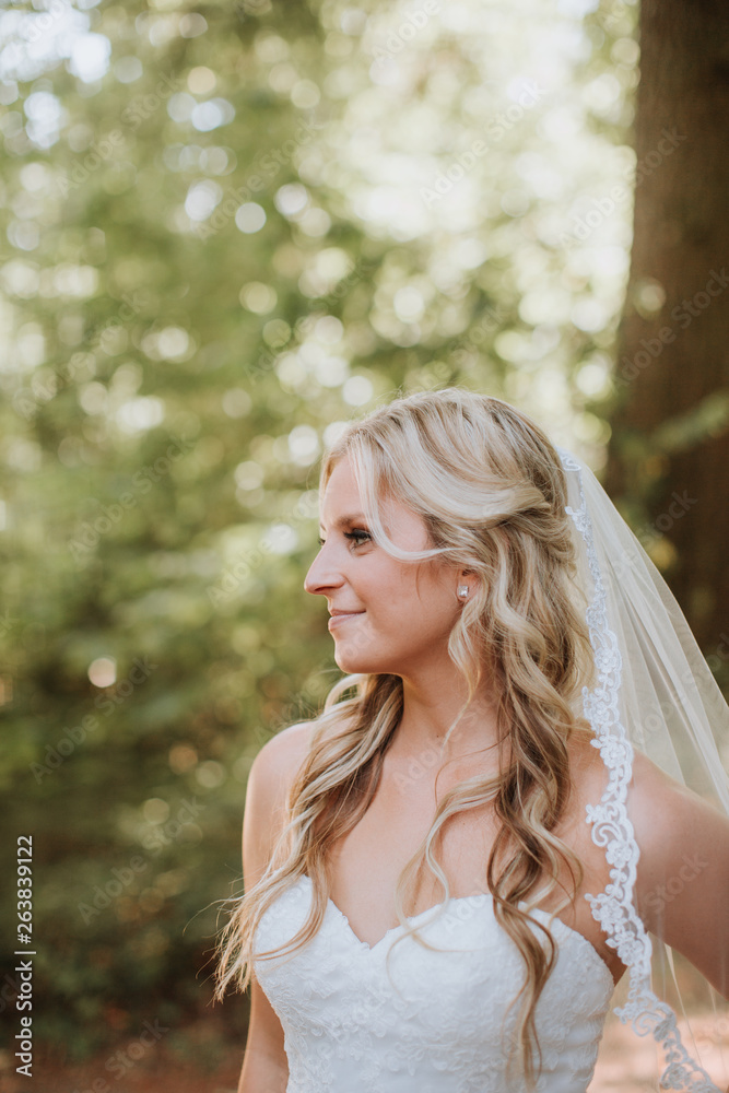 Portrait of Bride Portrait of Bride