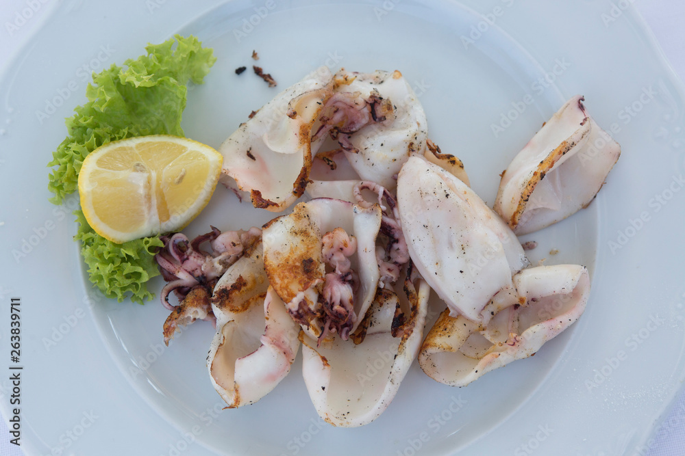 Calamari Salad, Food of Bocca di Magra Italy Calamari Salad, Food of Bocca di Magra Italy