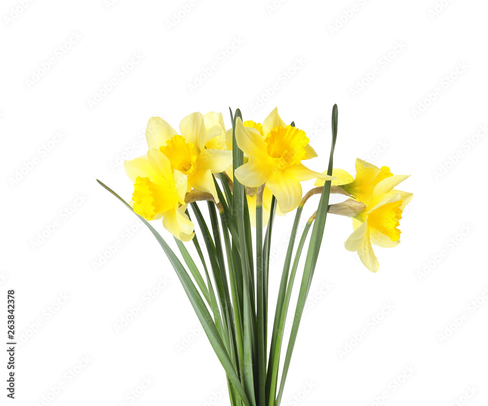 Bouquet of daffodils on white background. Fresh spring flowers Bouquet of daffodils on white background. Fresh spring flowers