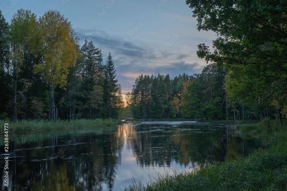 Fototapeta premium River landscape! Farnebofjarden national park in Sweden.