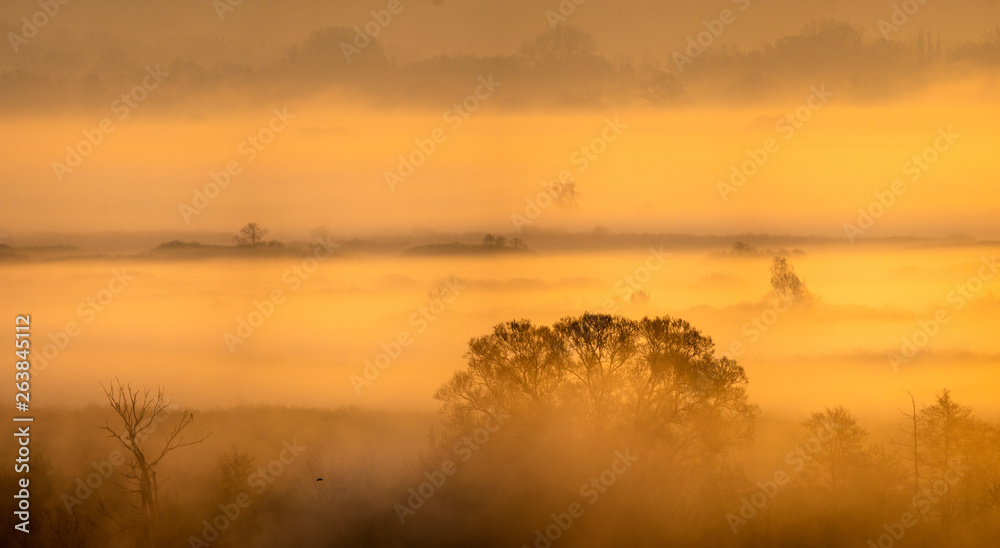 spring valley sunk in the morning fog spring valley sunk in the morning fog