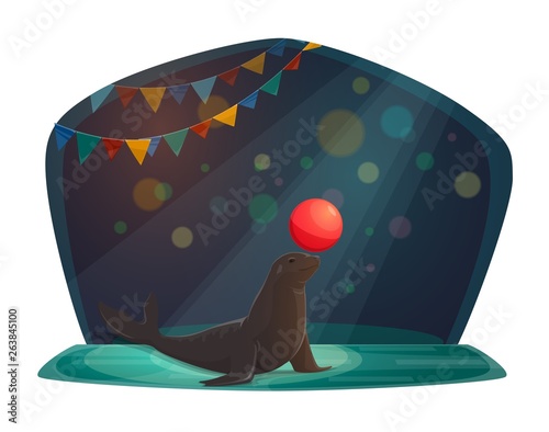 Circus seal balancing with red ball on arena