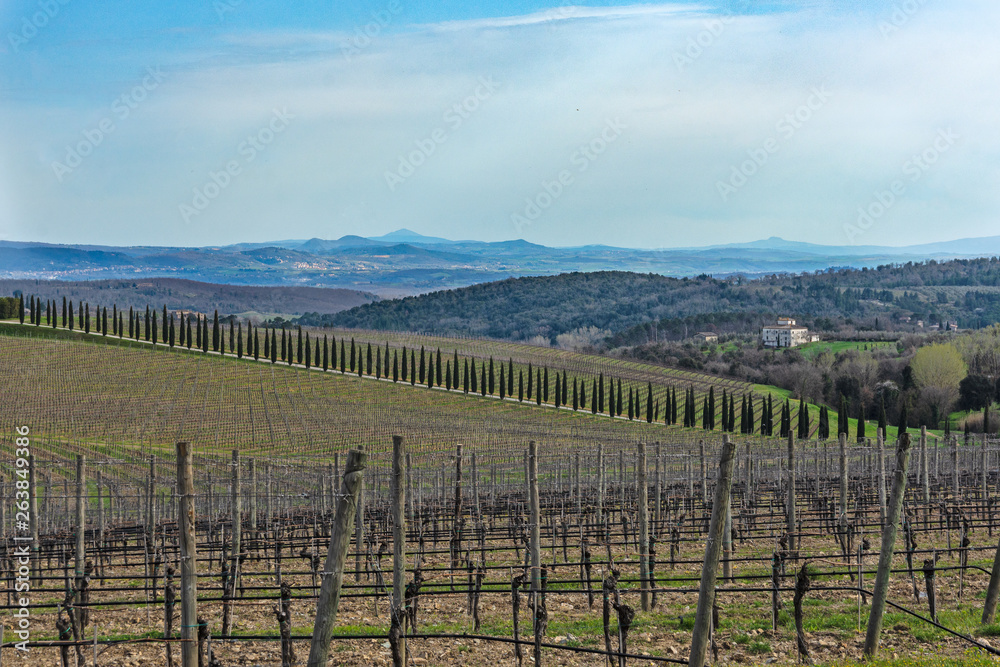 Fototapeta premium Camapgna toscana