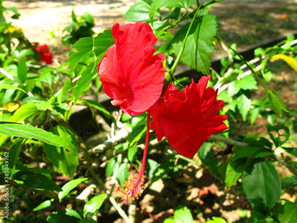 Langkawi, Kuah, Malaysia