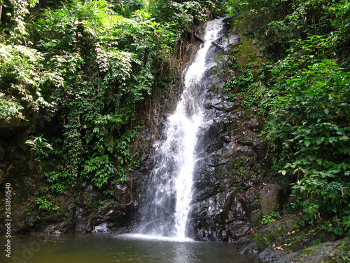 zoo  Langkawi  Kuah  Malaysia