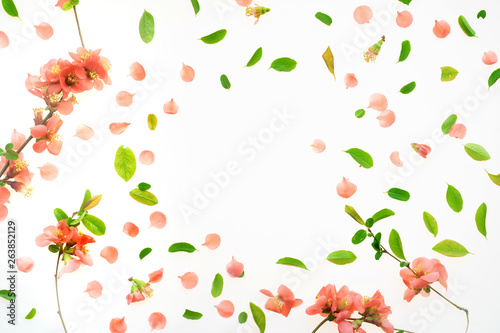 Wallpaper Mural Colorful springtime background flat lay top view Torontodigital.ca