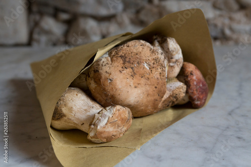 Porcini Mushrooms photo