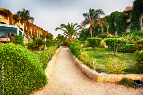 green hotel garden in Egypt