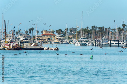 Santa Barbara Harbor. Sand Beach, Boats and Pelicans photo