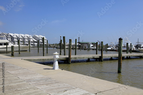 Cypress Cove Marina in Venice with Lodges, Louisiana photo